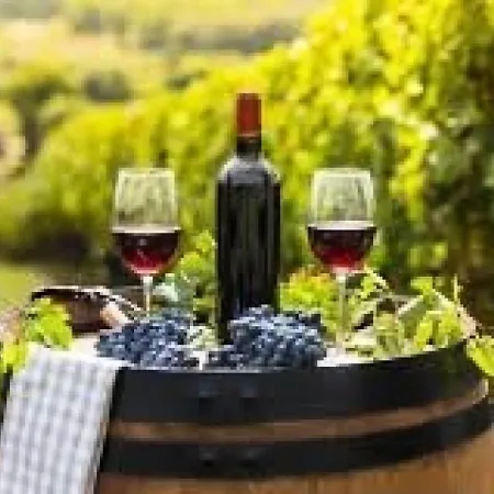 Maisons De La Foret - Maisonnette Au Coeur De La Pinede - 4 Pers. - Ocean Proche Centre Mae-0431